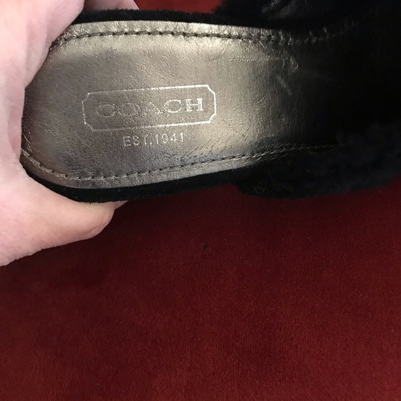 Coach mules - Picture 2 of 3